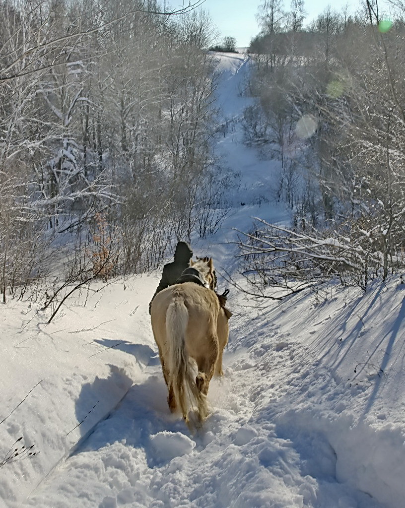 Зимний конный поход