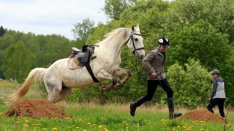 Соревнования по техники конного туризма 