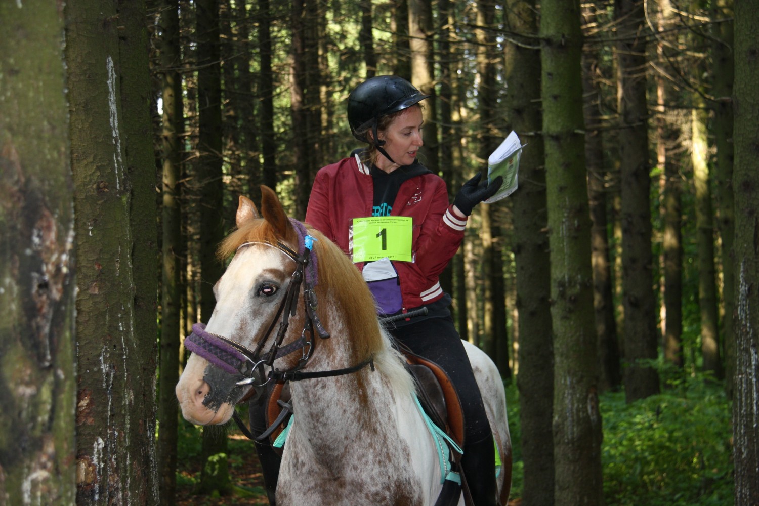 Ориентирование на лошадях в рамках Длинной дистанции на соревнованиях по спортивному туризму на конных дистанциях