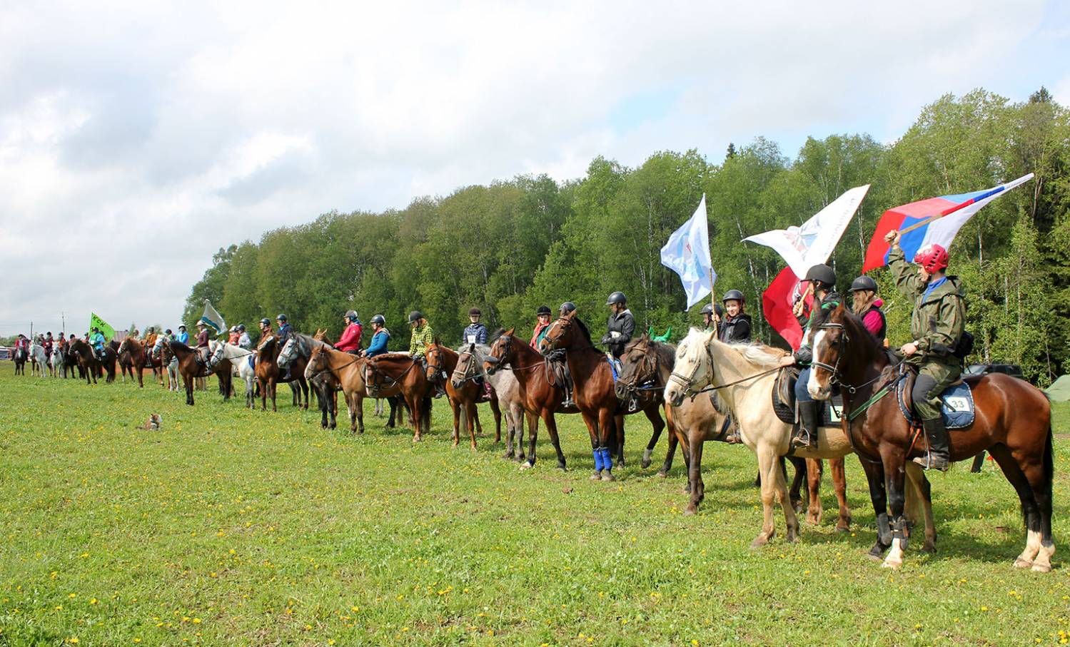 Открытие кубка Москвы по конному туризму