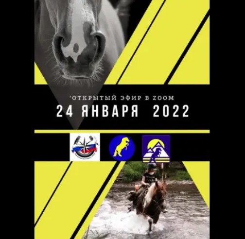 Конные туры на Камчатке онлайн лекция Национальный центр конного туризма