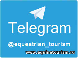 Конный туризм в России теперь в телеграмме