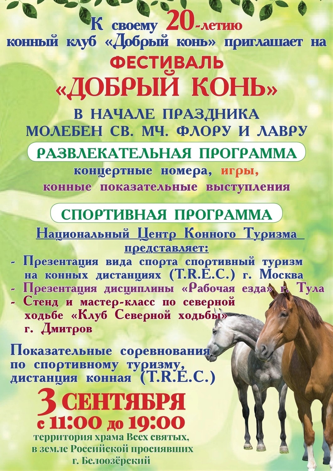 Конный фестиваль Добрый конь