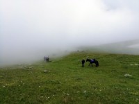 Перевал в конном походе на Западном Кавказе